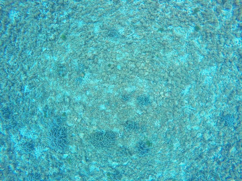 DCIM100GOPROG0031284.