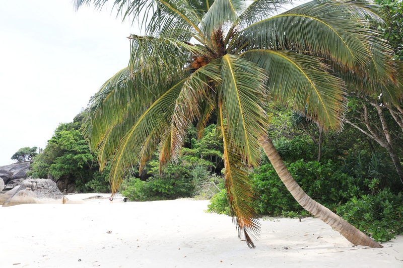 blissoutthere-%e0%b8%a0%e0%b8%b9%e0%b9%80%e0%b8%81%e0%b9%87%e0%b8%95-%e0%b8%9e%e0%b8%b1%e0%b8%87%e0%b8%87%e0%b8%b2-%e0%b8%95%e0%b8%b8%e0%b8%a5%e0%b8%b259-125