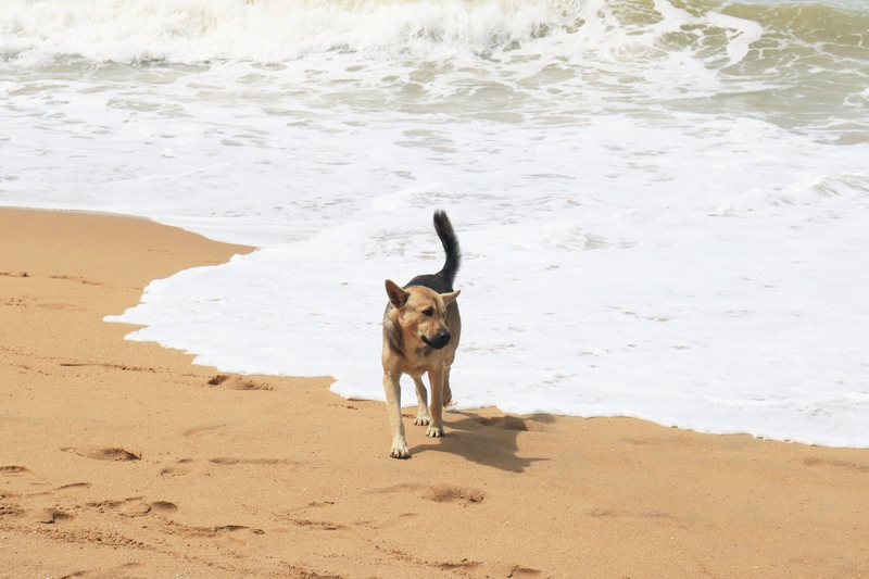 blissoutthere-%e0%b8%a0%e0%b8%b9%e0%b9%80%e0%b8%81%e0%b9%87%e0%b8%95-%e0%b8%9e%e0%b8%b1%e0%b8%87%e0%b8%87%e0%b8%b2-%e0%b8%95%e0%b8%b8%e0%b8%a5%e0%b8%b259-99