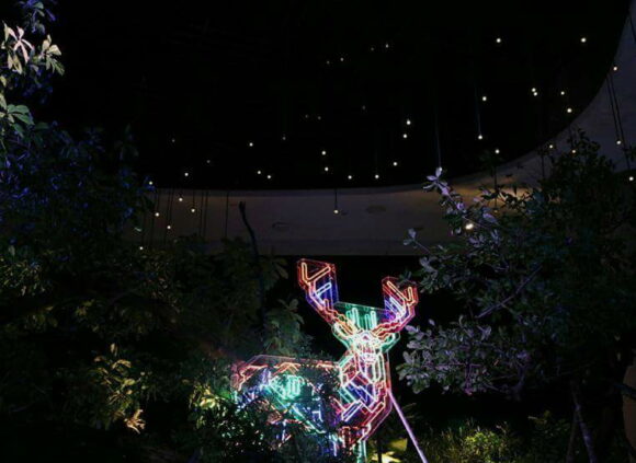 ไปดูไฟที่งาน Bangkok Illumination 2015 กันเถอะ