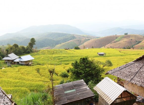 ทริปดีต่อใจ ‘ บ้านระเบียงดาว-บ้านป่าบงเปียง ’ 500 บ. / คน  / คืน (ไม่มีรถก็ไปได้)