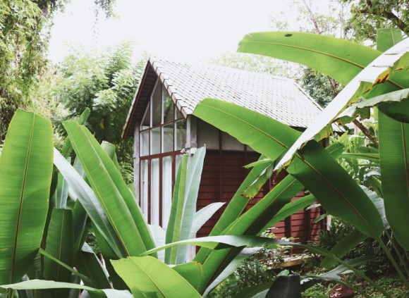 ‘ พราวภูฟ้า จ.เชียงใหม่ ’ ที่พักละมุนๆ อบอุ่นเหมือนบ้านในฝัน