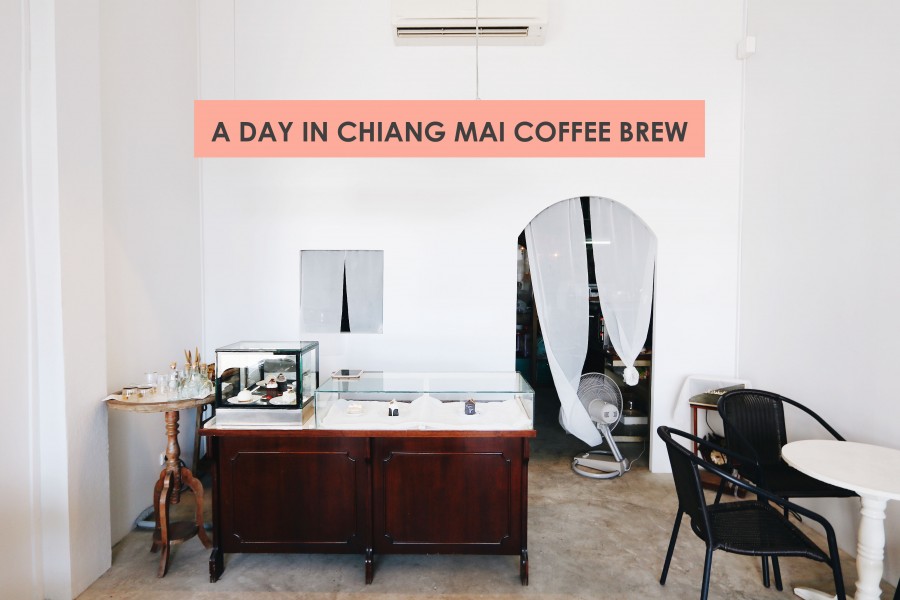 02 A Day In Chiangmai Coffee Brew
