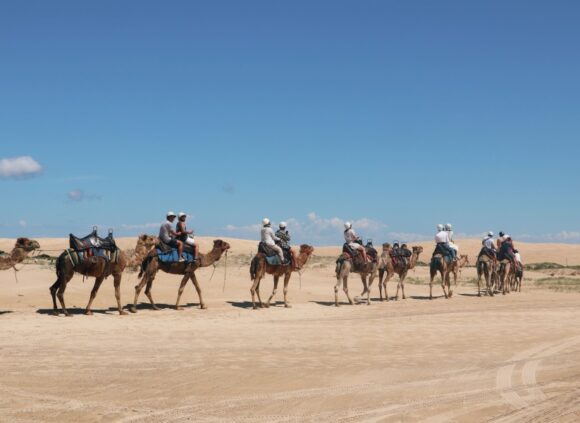 Newcastle เมืองมีเสน่ห์ ติดทะเลในออสเตรเลีย น่าไปเที่ยวสักครั้ง :- )