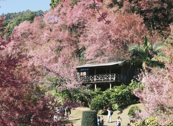 10 สถานที่ เที่ยวไทย เหมือนไปต่างประเทศ